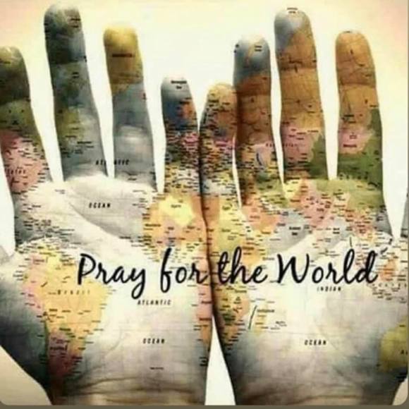 Meet your Posher, Danielle - Picture 1 of 1